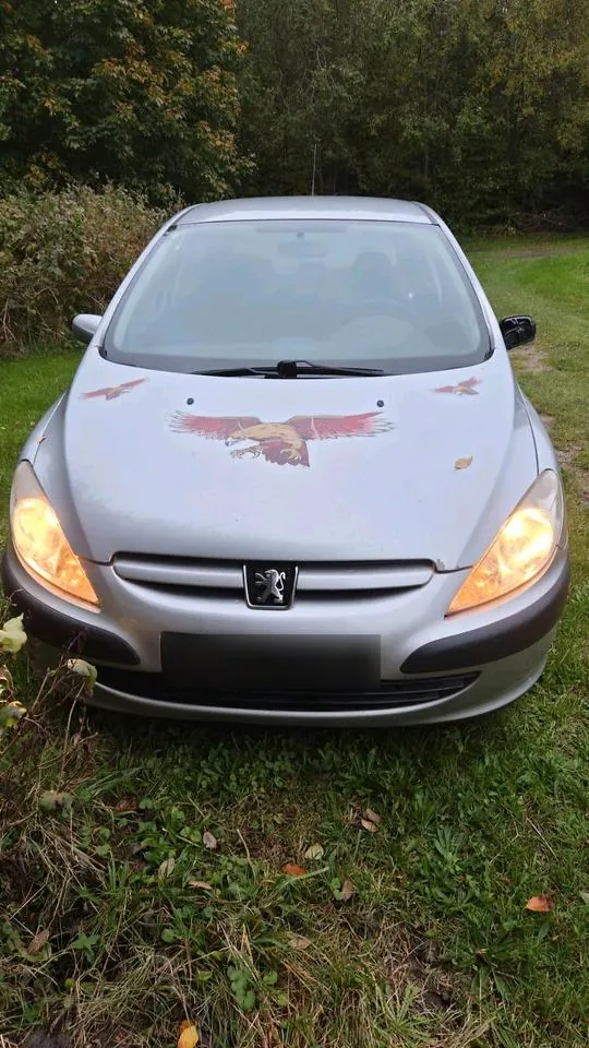 Peugeot 307