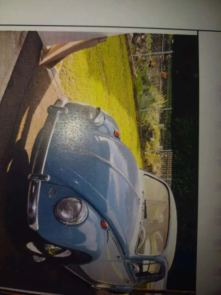 Volkswagen Käfer
