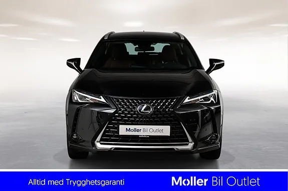 Lexus Ux300E 2021 photo 3