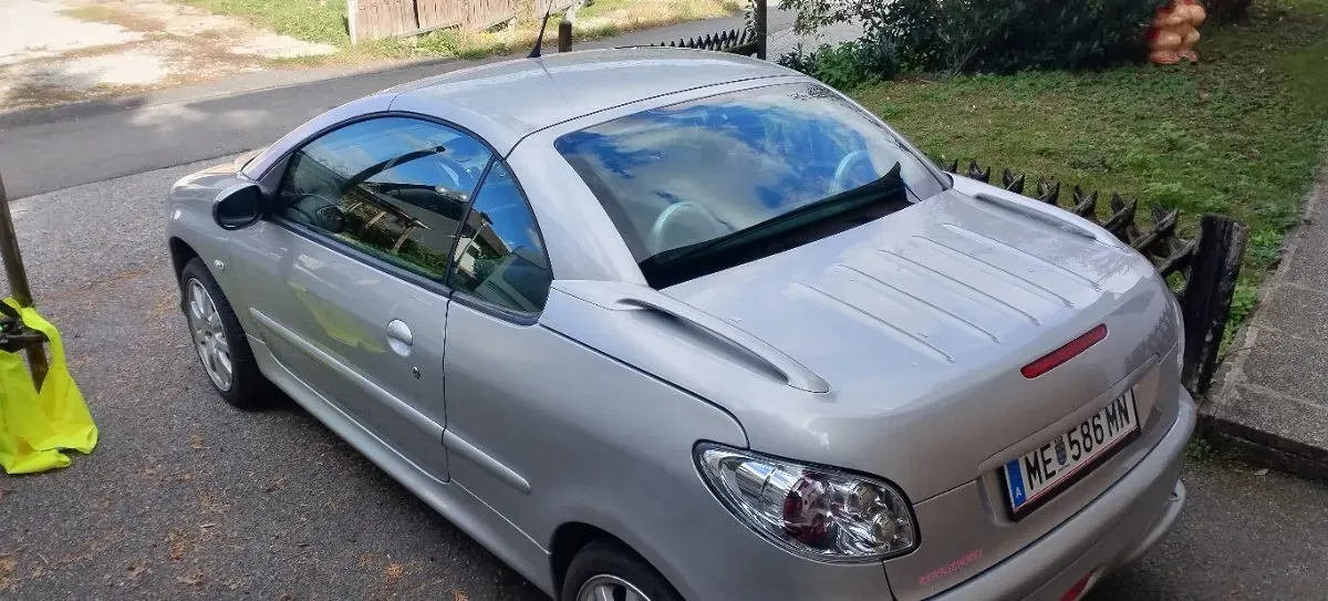 Peugeot 206 2005 photo 2