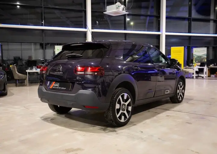 Citroen C4 Cactus 2019 photo 4