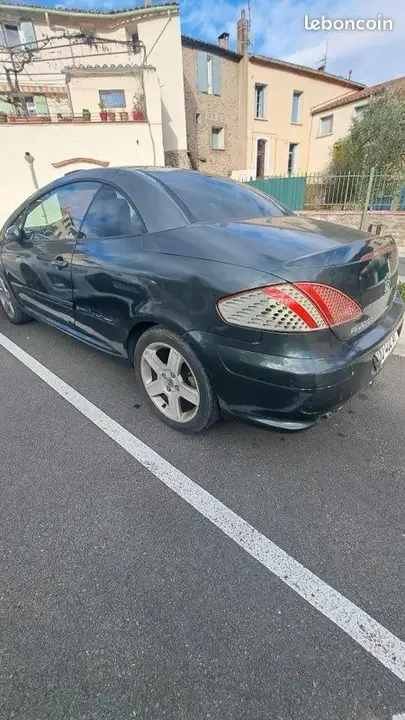Peugeot 307 2004 photo 3