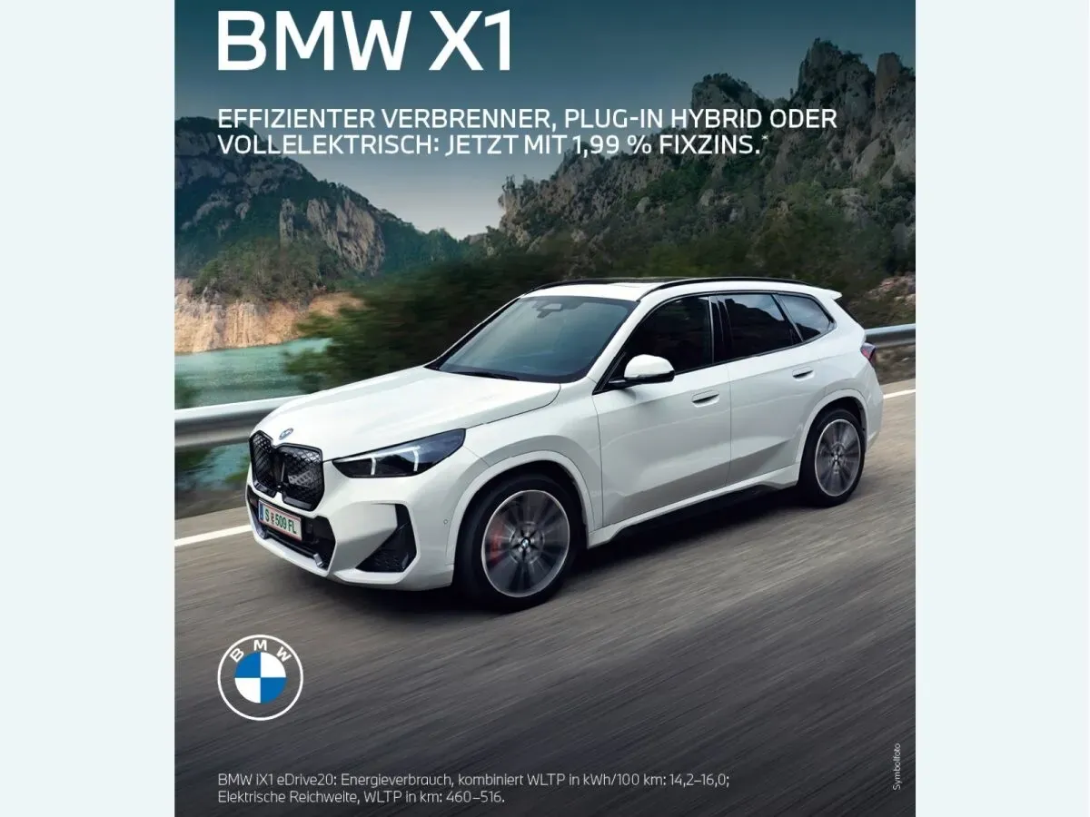 BMW X1 photo 2