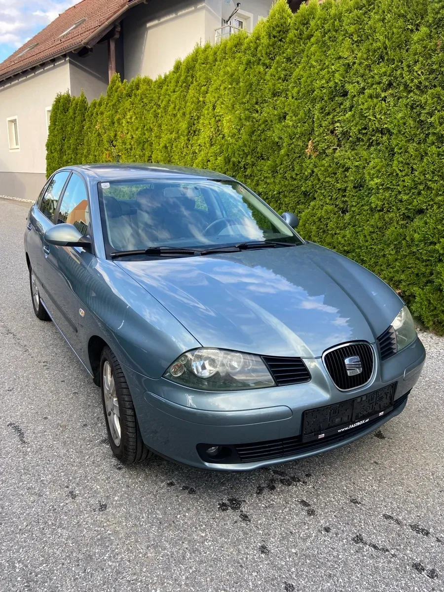 Seat Ibiza 2006 photo 2