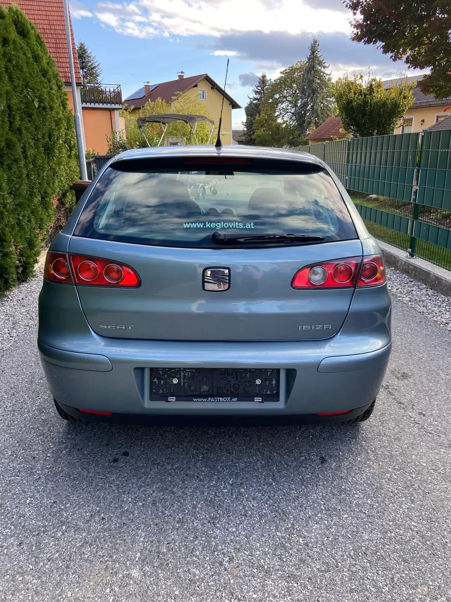 Seat Ibiza 2006 photo 3