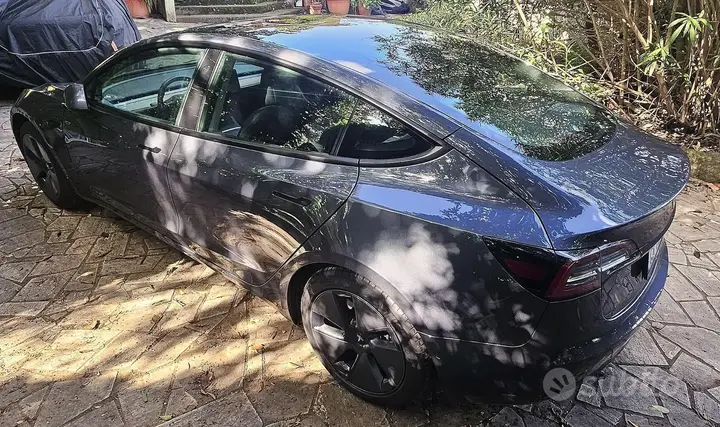 Tesla Model 3 2020 photo 4