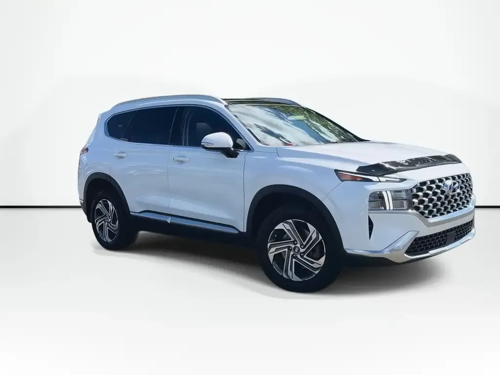 Hyundai Santa Fe 2021 photo 2