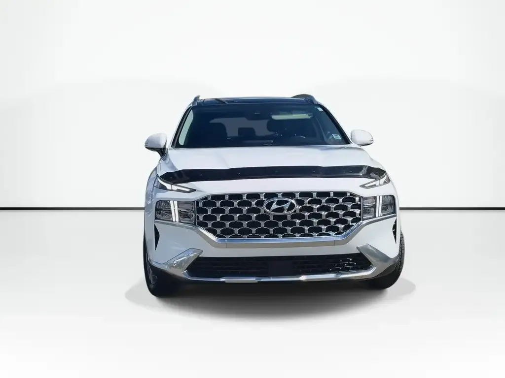 Hyundai Santa Fe 2021 photo 3