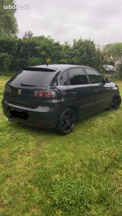 Seat Ibiza 2007 photo 2