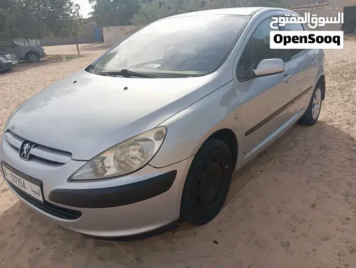 Peugeot 307 2003 photo 2