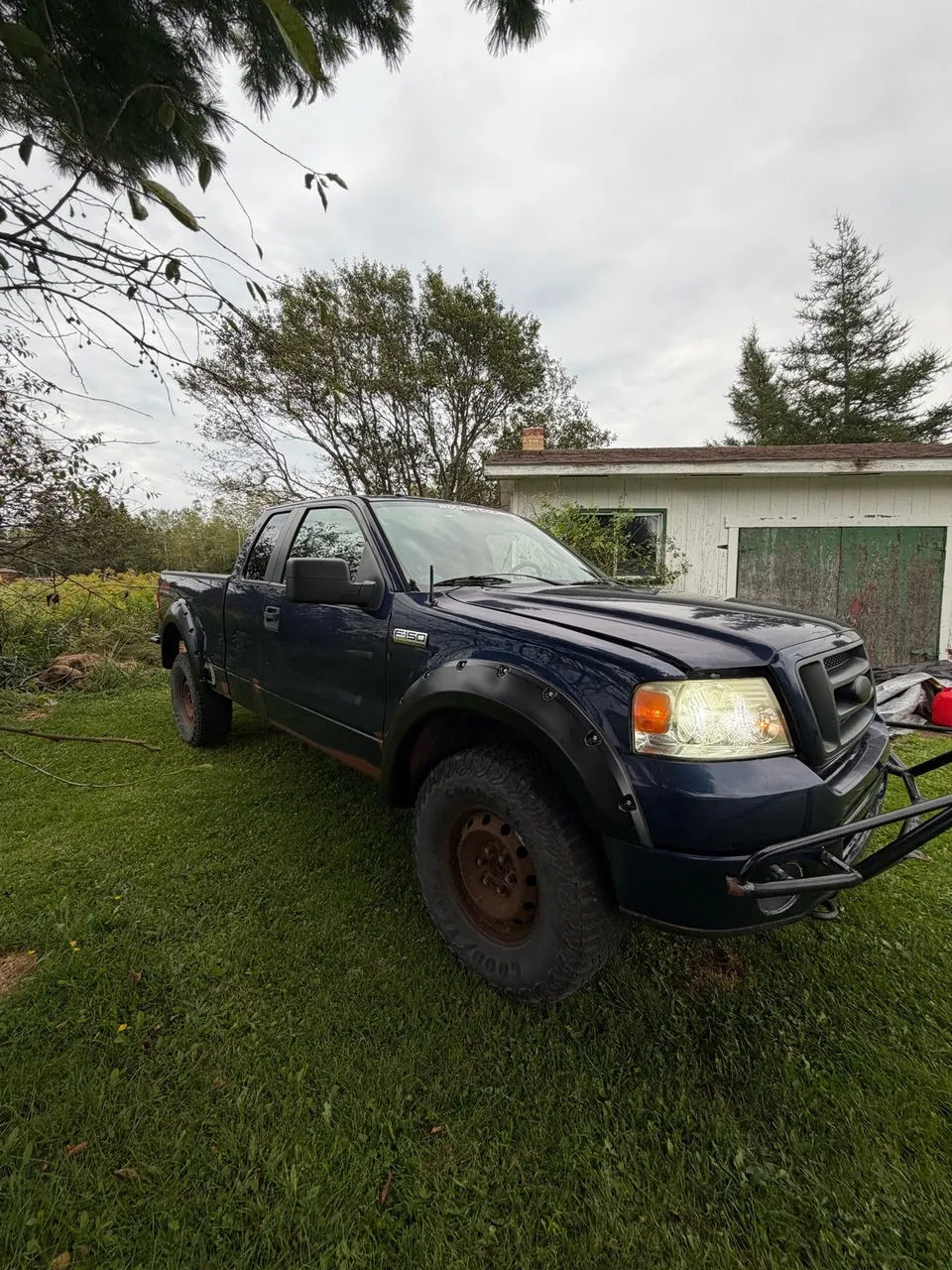 Ford F-150 2008 photo 2