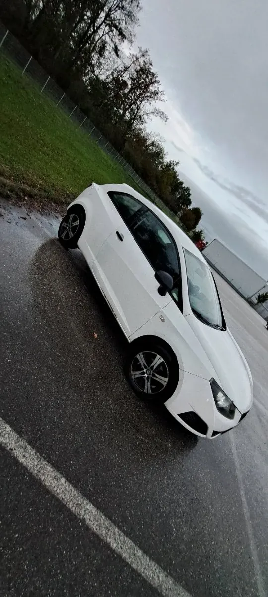 Seat Ibiza 2010 photo 3