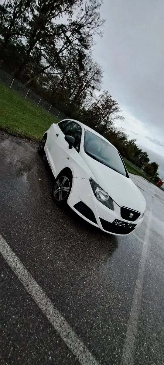 Seat Ibiza 2010 photo 2