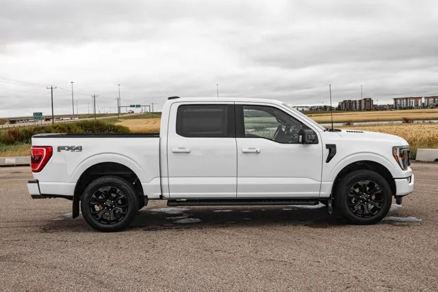 Ford F-150 2023 photo 4