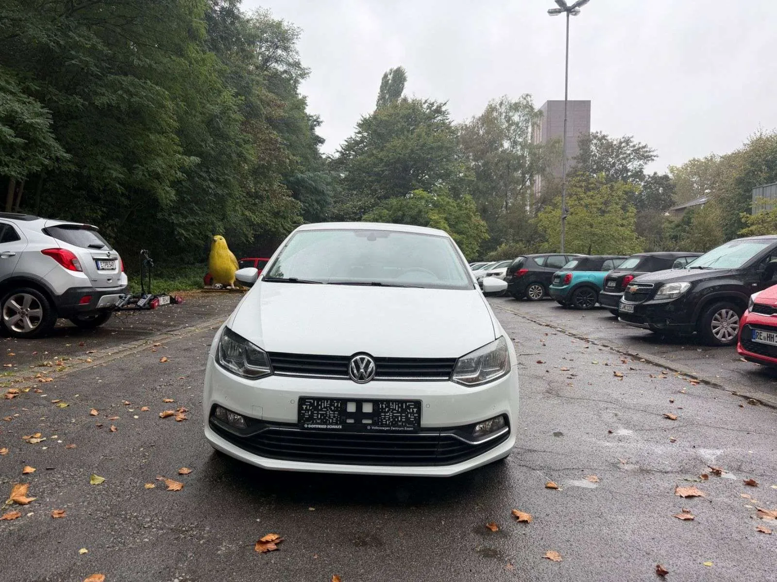 Volkswagen Polo V