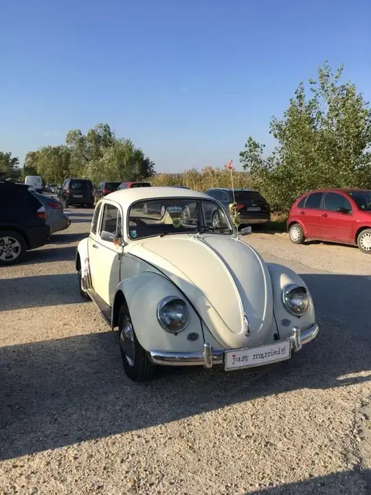 Volkswagen Käfer 1967 photo 3