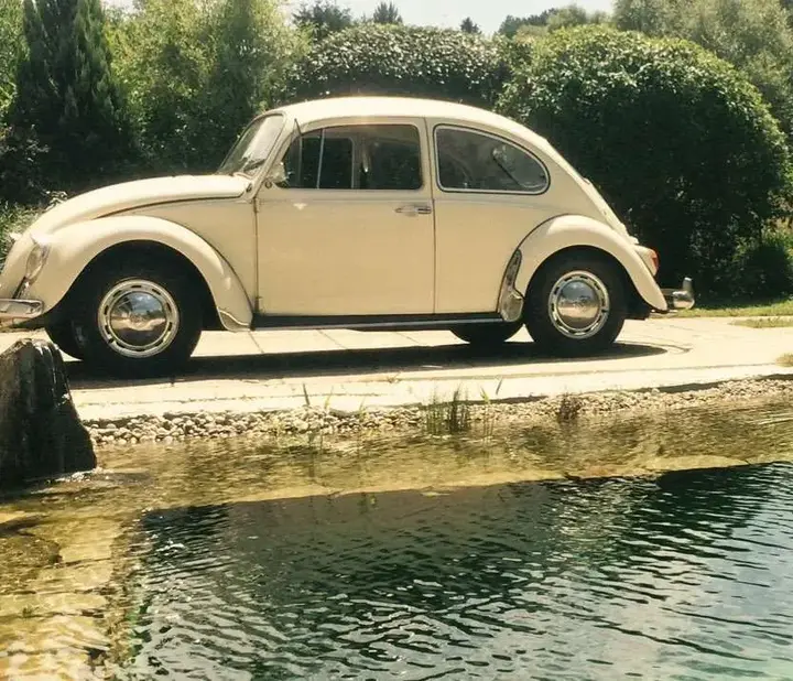 Volkswagen Käfer