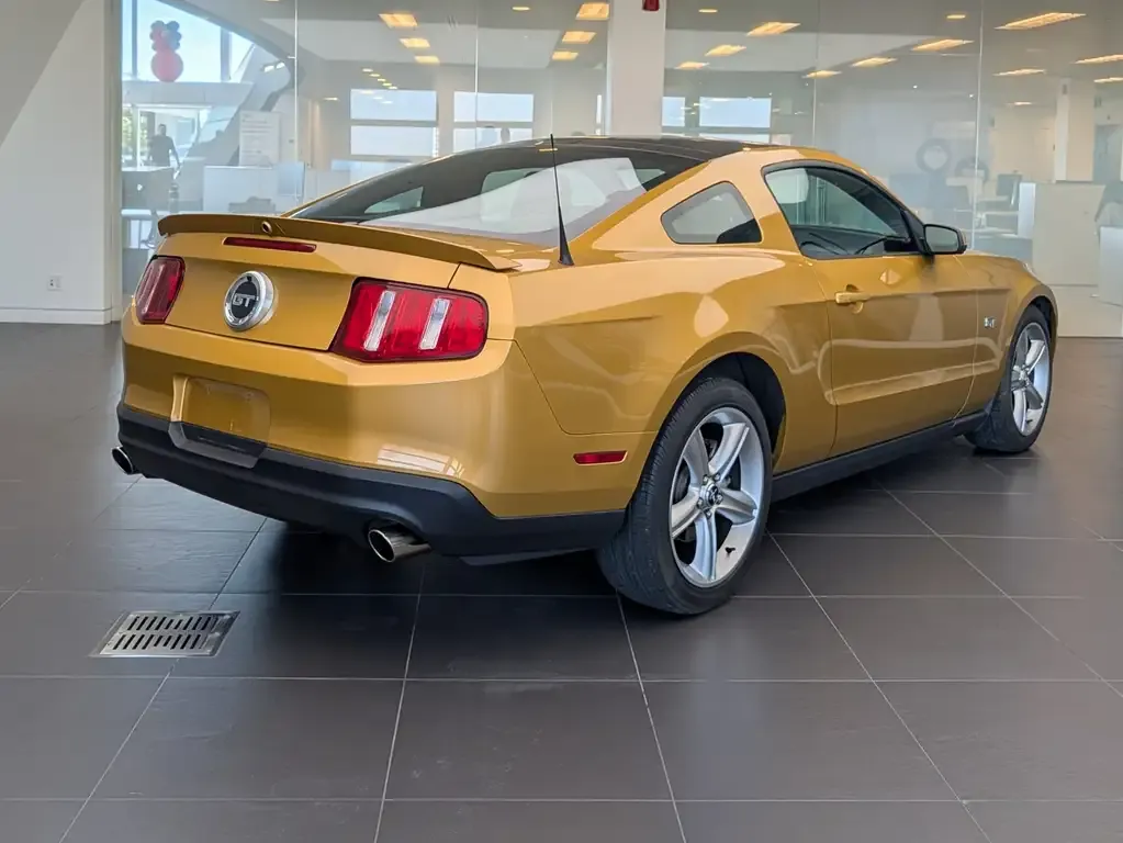 Ford Mustang 2010 photo 3