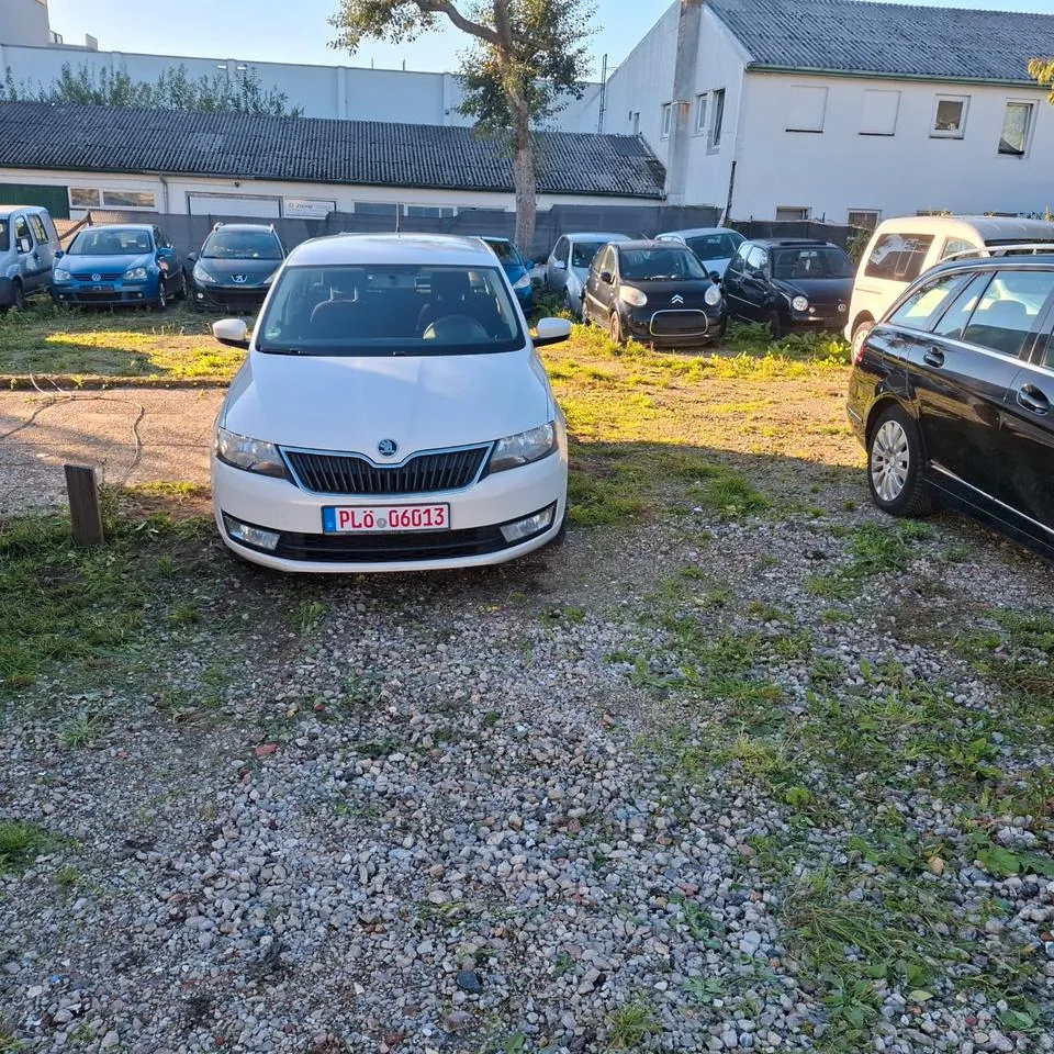 Skoda Rapid