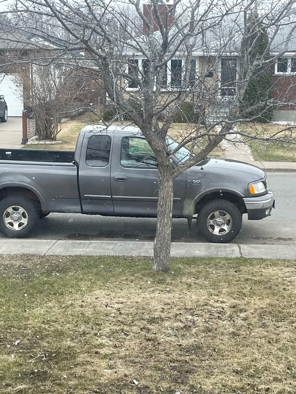 Ford F-150 1999 photo 3