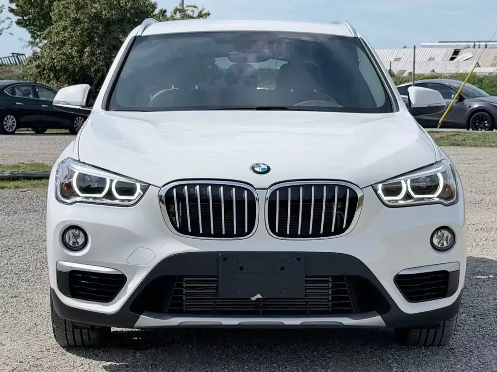 BMW X1 2017 photo 2