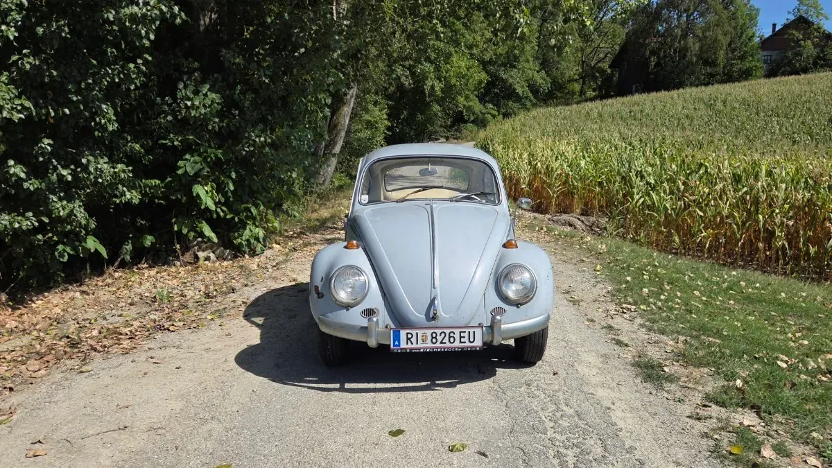 Volkswagen Käfer 1964 photo 3