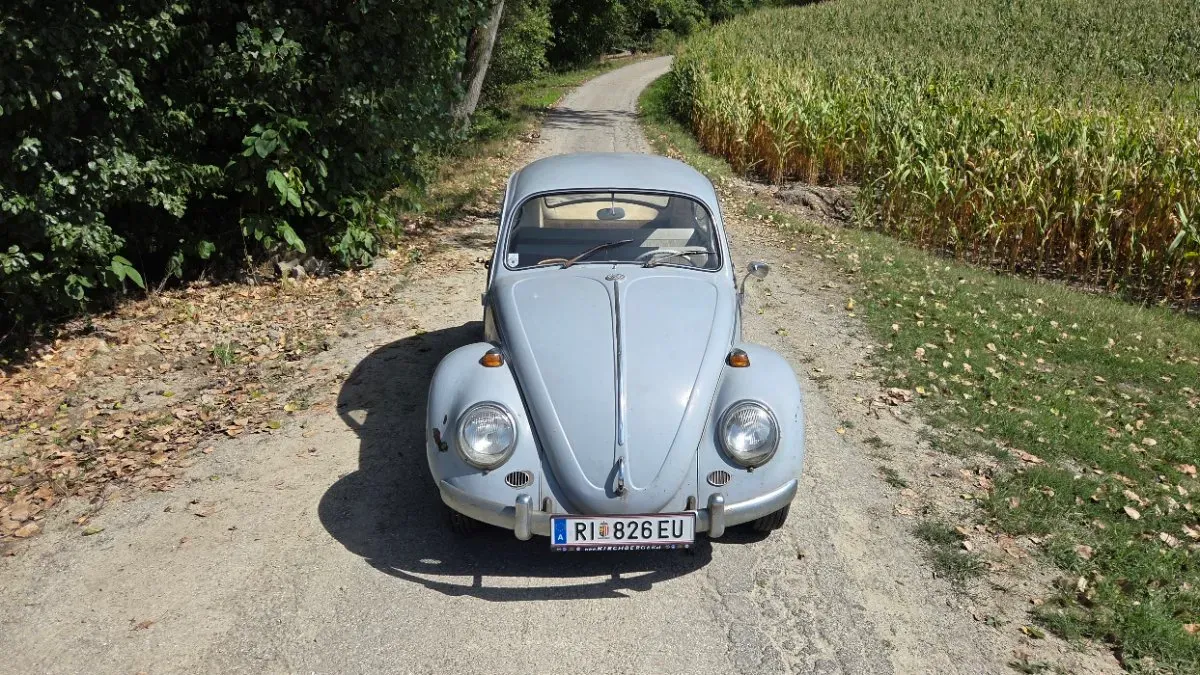 Volkswagen Käfer 1964 photo 2