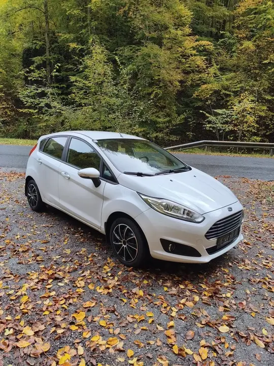 Ford Fiesta 2015 photo 2