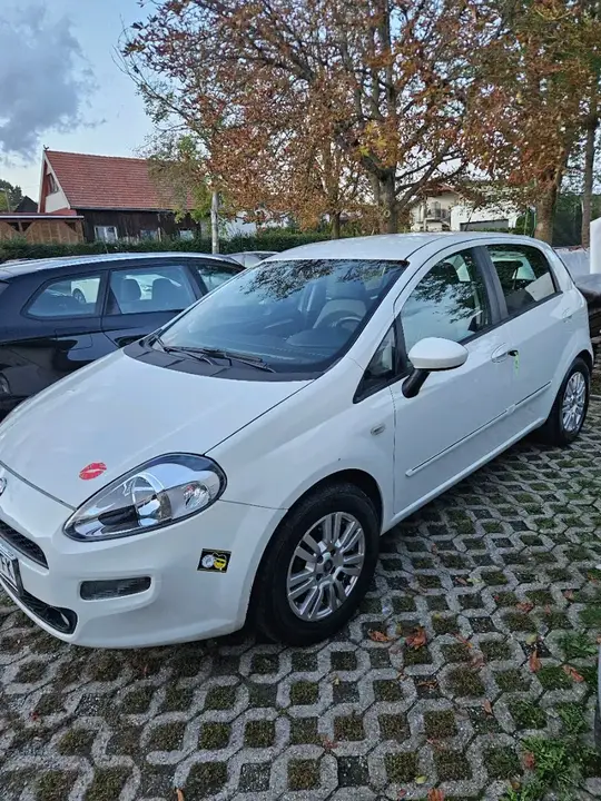 Fiat Punto 2012 photo 2