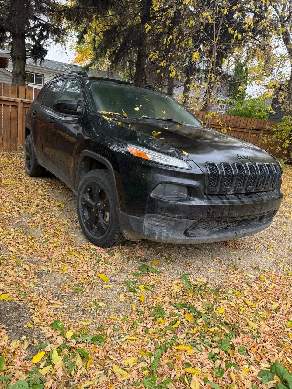 Jeep Cherokee 2017 photo 2