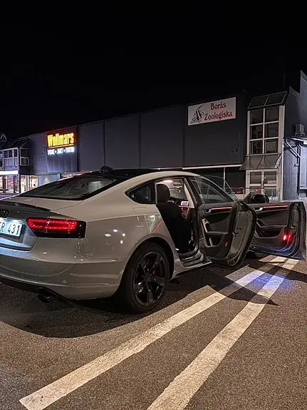 Audi S5 2010 photo 2