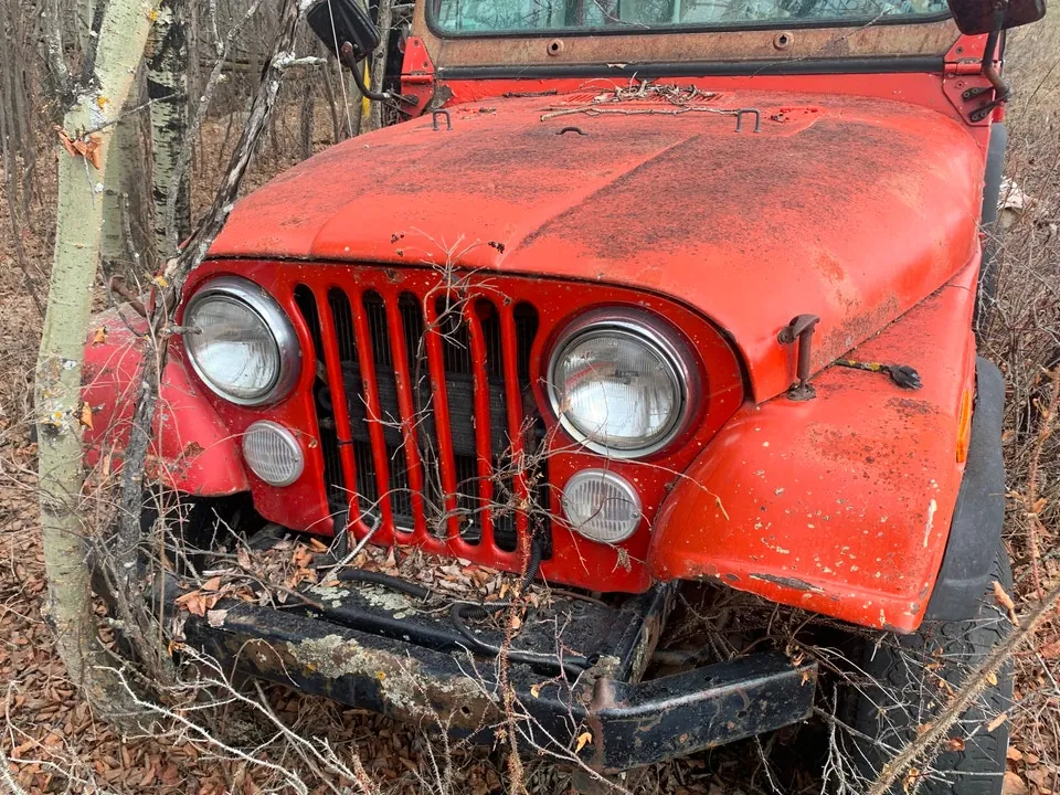 Jeep Cj 1980 photo 2