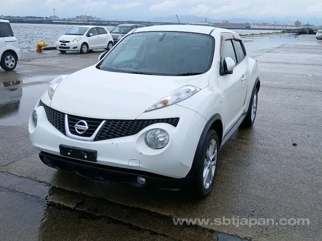 Nissan Juke 2010 photo 2