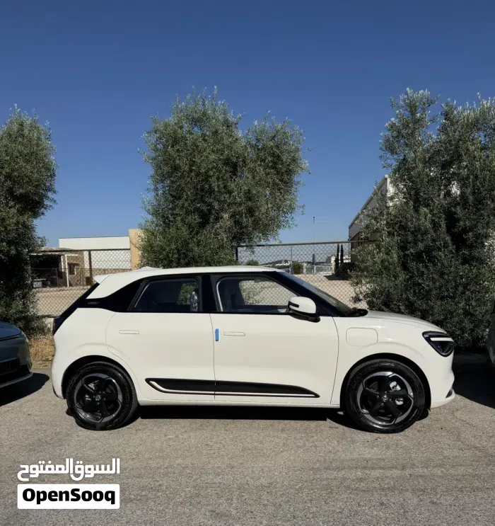 Dongfeng Nammi Box