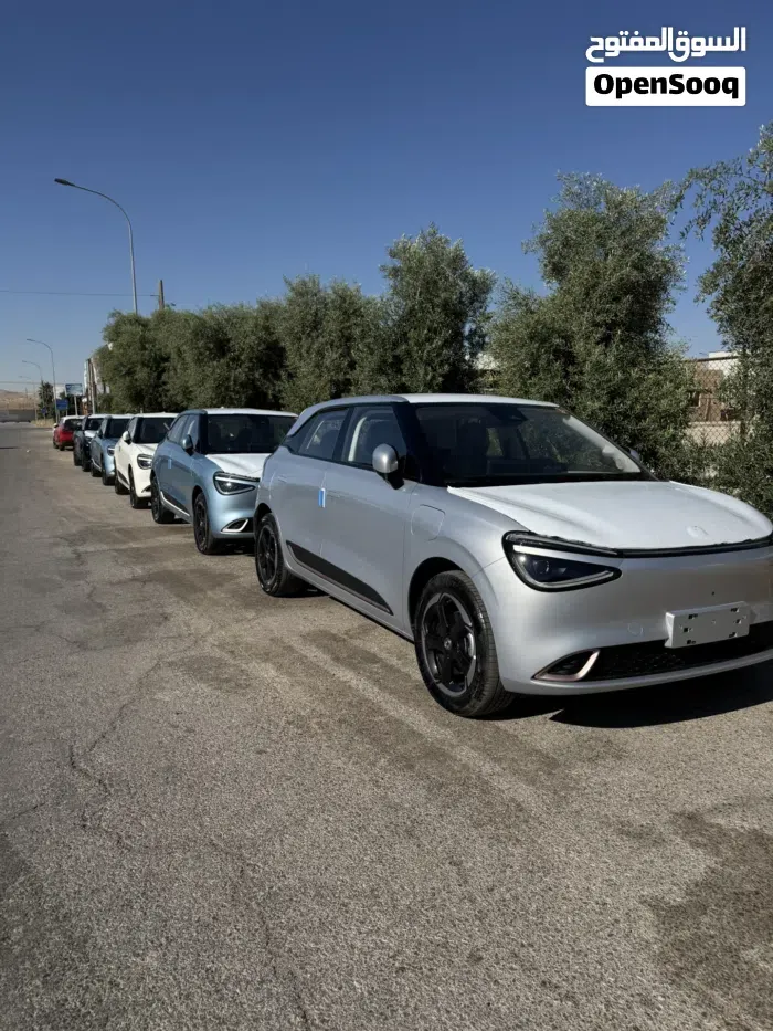 Dongfeng Nammi Box 2026 photo 4