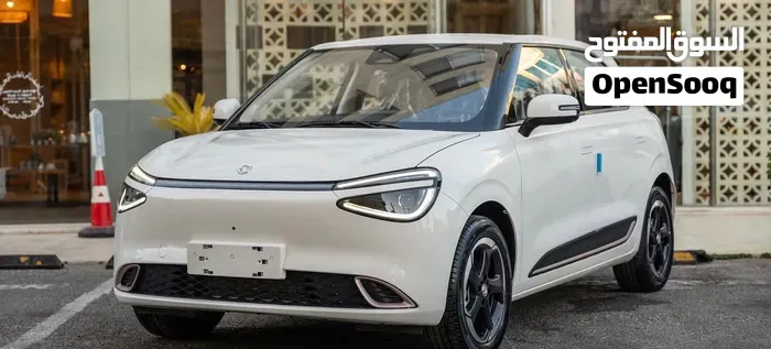 Dongfeng Nammi Box 2026 photo 5