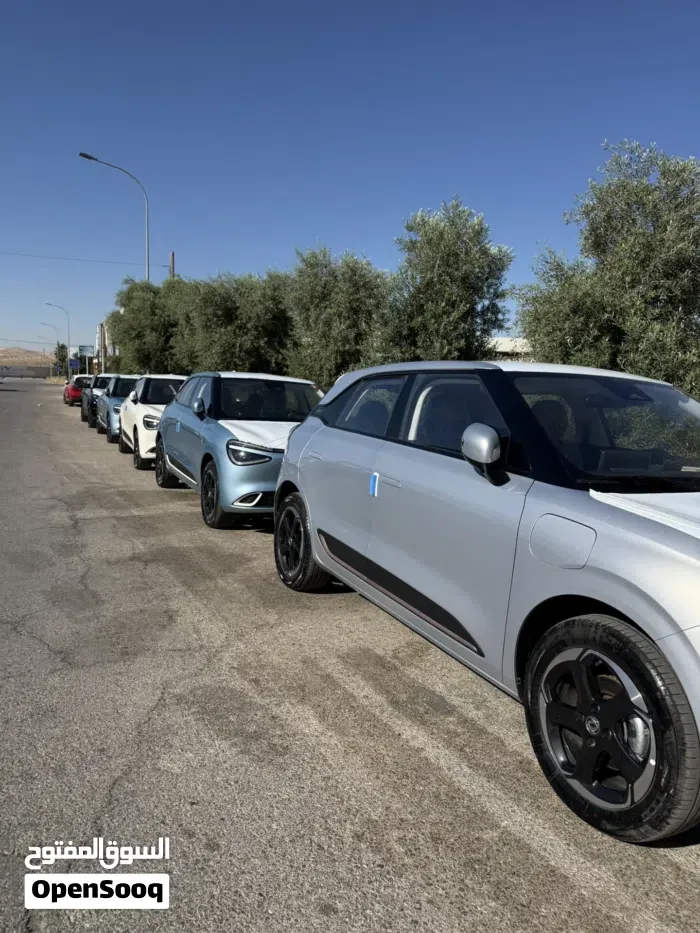 Dongfeng Nammi Box 2026 photo 3