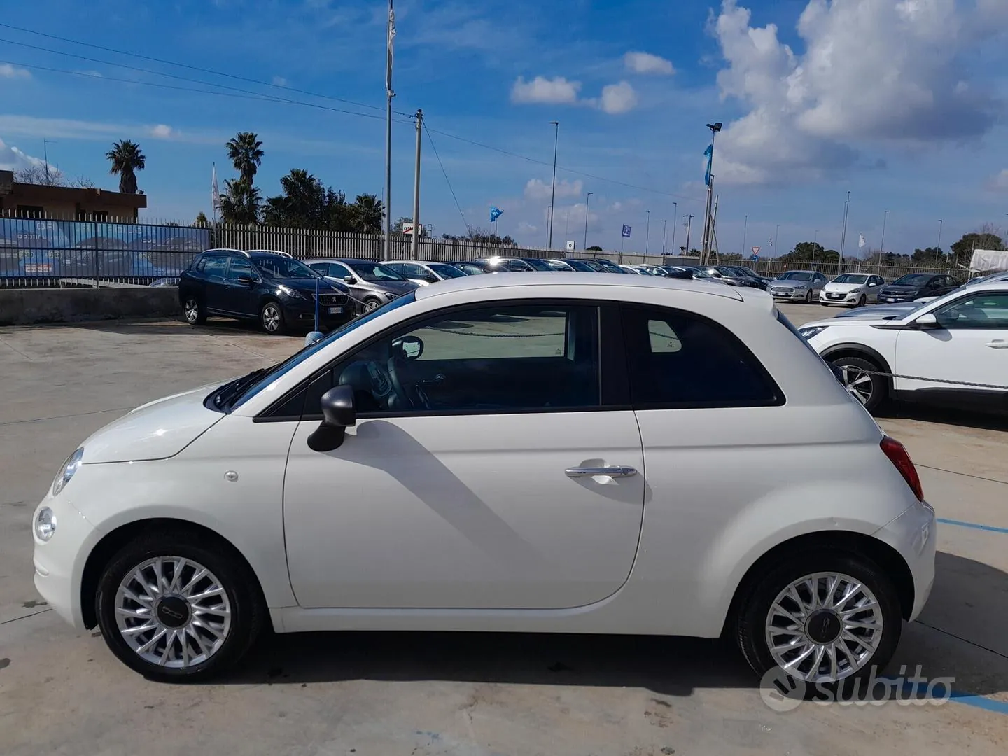 Fiat 500 2022 photo 4