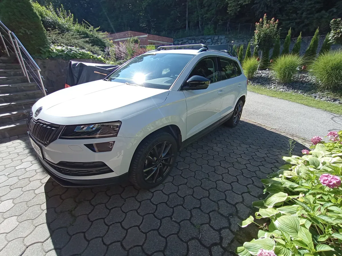 Skoda Karoq 2019 photo 2