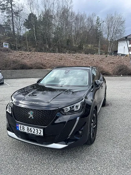 Peugeot E-2008