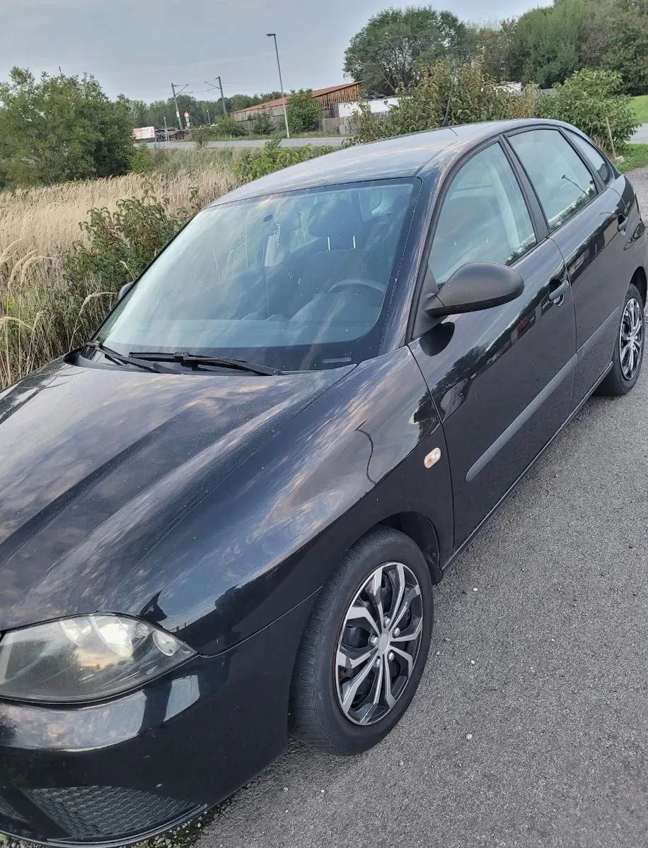 Seat Ibiza 2009 photo 2