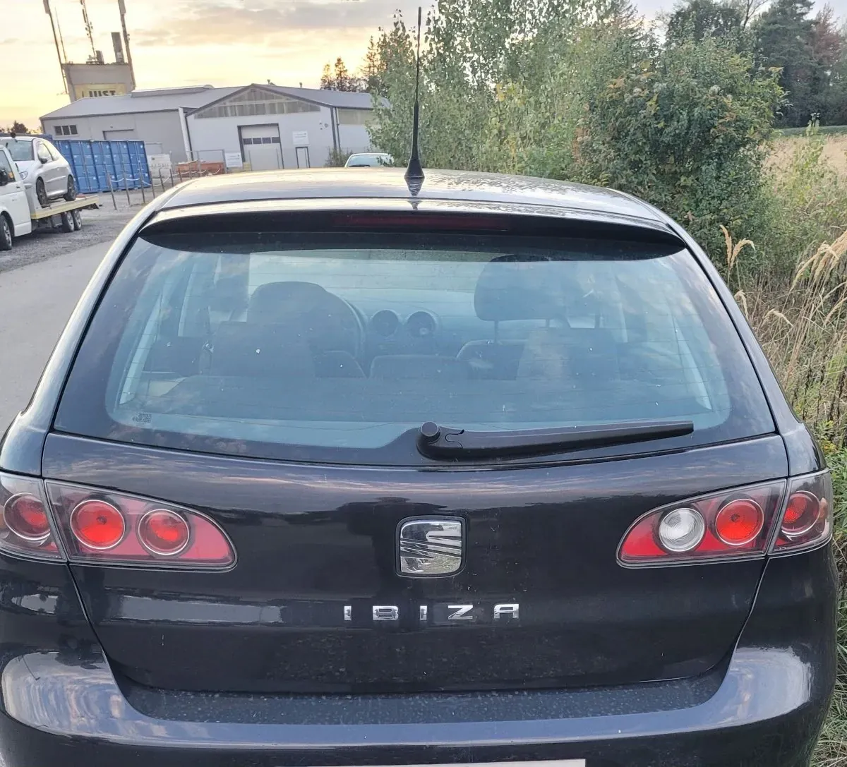Seat Ibiza 2009 photo 3