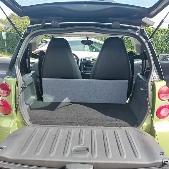 Smart Fortwo Coupe 2011 photo 2