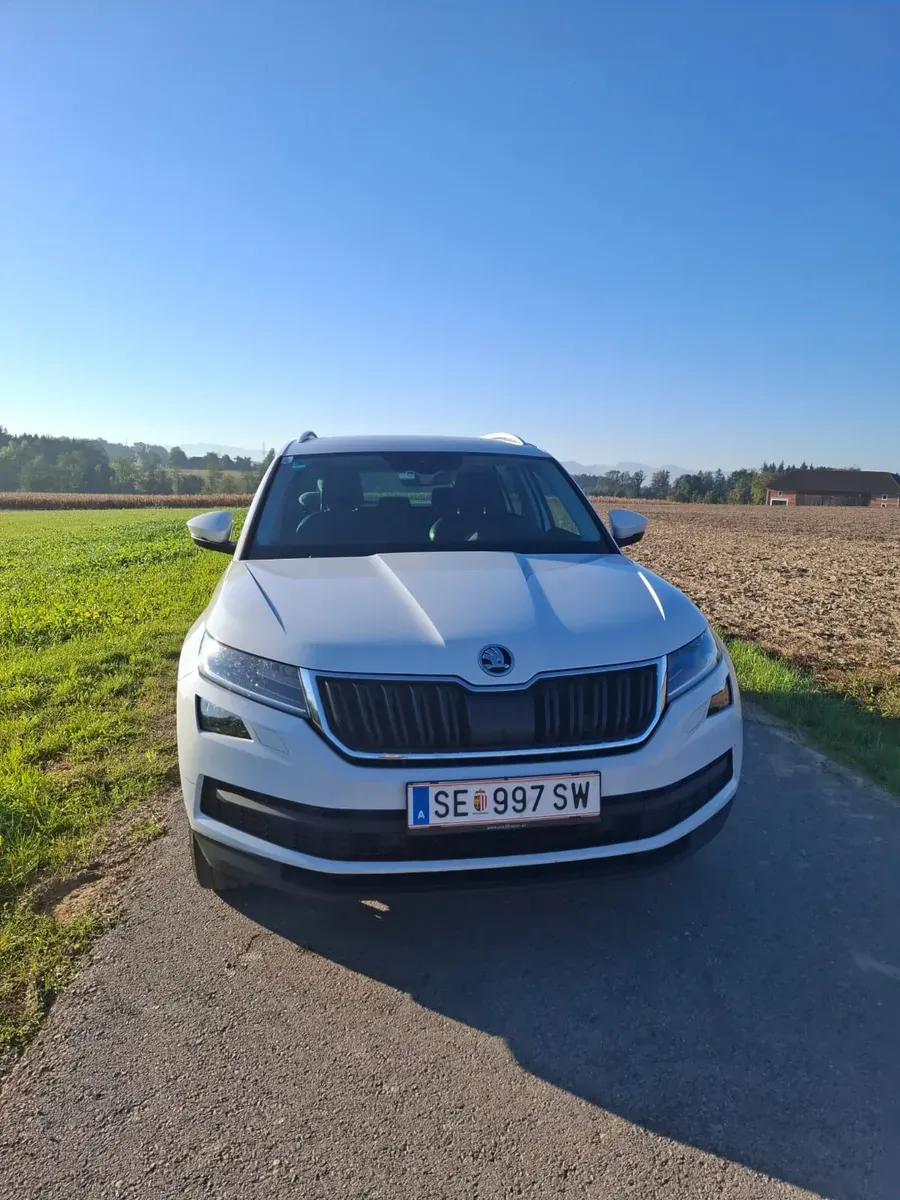 Skoda Kodiaq 2020 photo 2