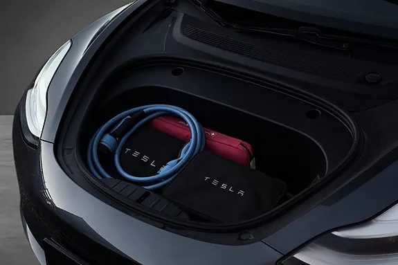 Tesla Model 3 2021 photo 3