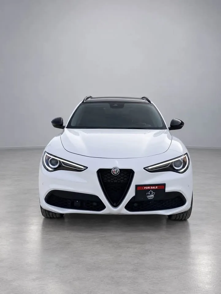 Alfa Romeo Stelvio 2021 photo 4
