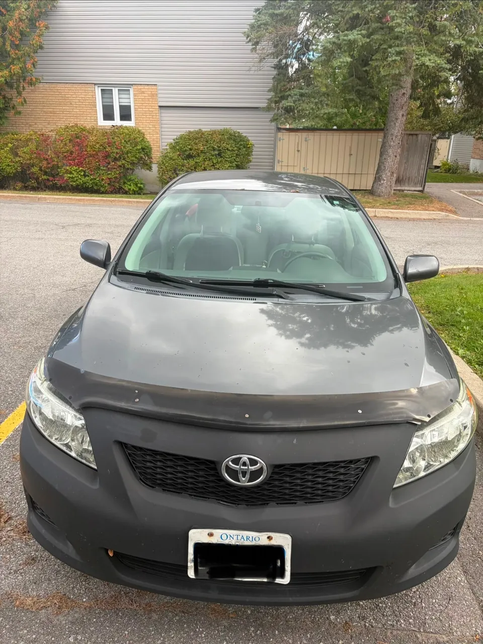 Toyota Corolla 2010 photo 5