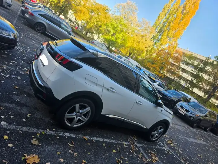 Peugeot 3008 2019 photo 2
