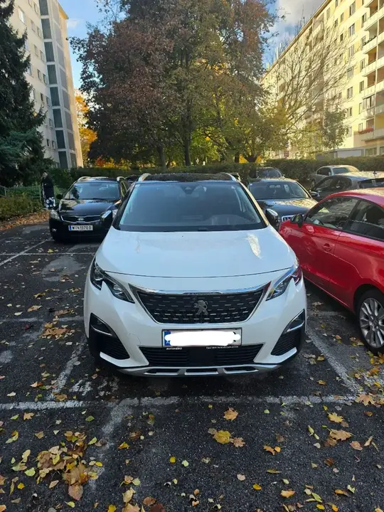 Peugeot 3008 2019 photo 3