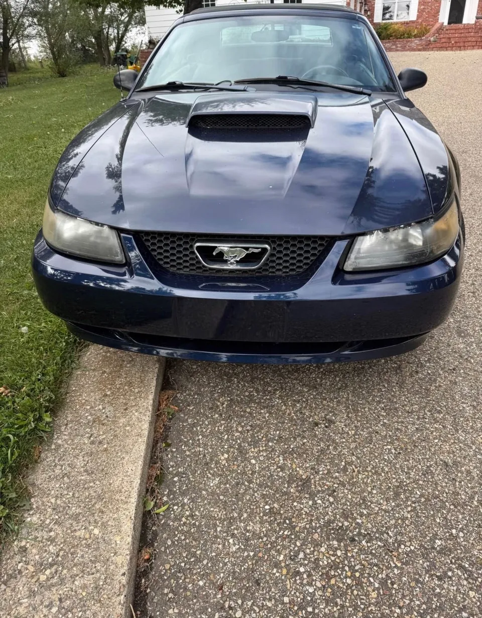 Ford Mustang 2001 photo 2